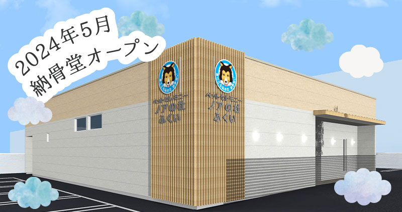 内観