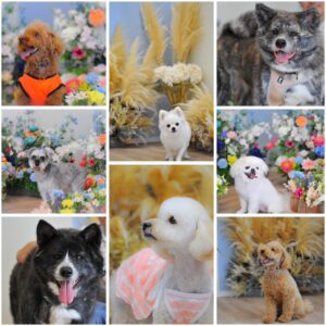 【8月ハッピーわんわんイベント】ご参加ありがとうございました！