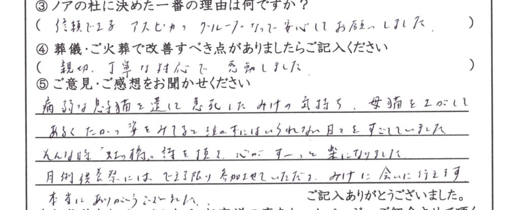 敦賀市のお客様「『虹の橋』詩を頂き 心がすーっと楽になりました」(猫)