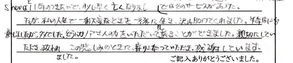 勝山市のお客様「親切にしていただき救われました。」(ﾄｲﾌﾟｰﾄﾞﾙ)