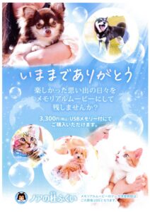【メモリアルムービー】がご購入可能となりました！