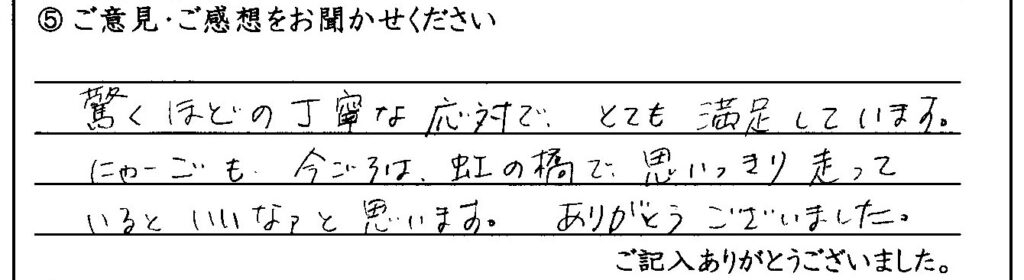福井市のお客様「今ごろは、虹の橋で思いっきり走っているといいなァと思います。」(猫)