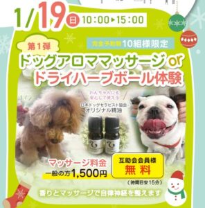 【1月度ハッピーわんわんイベント】お楽しみ抽選くじも引けます！