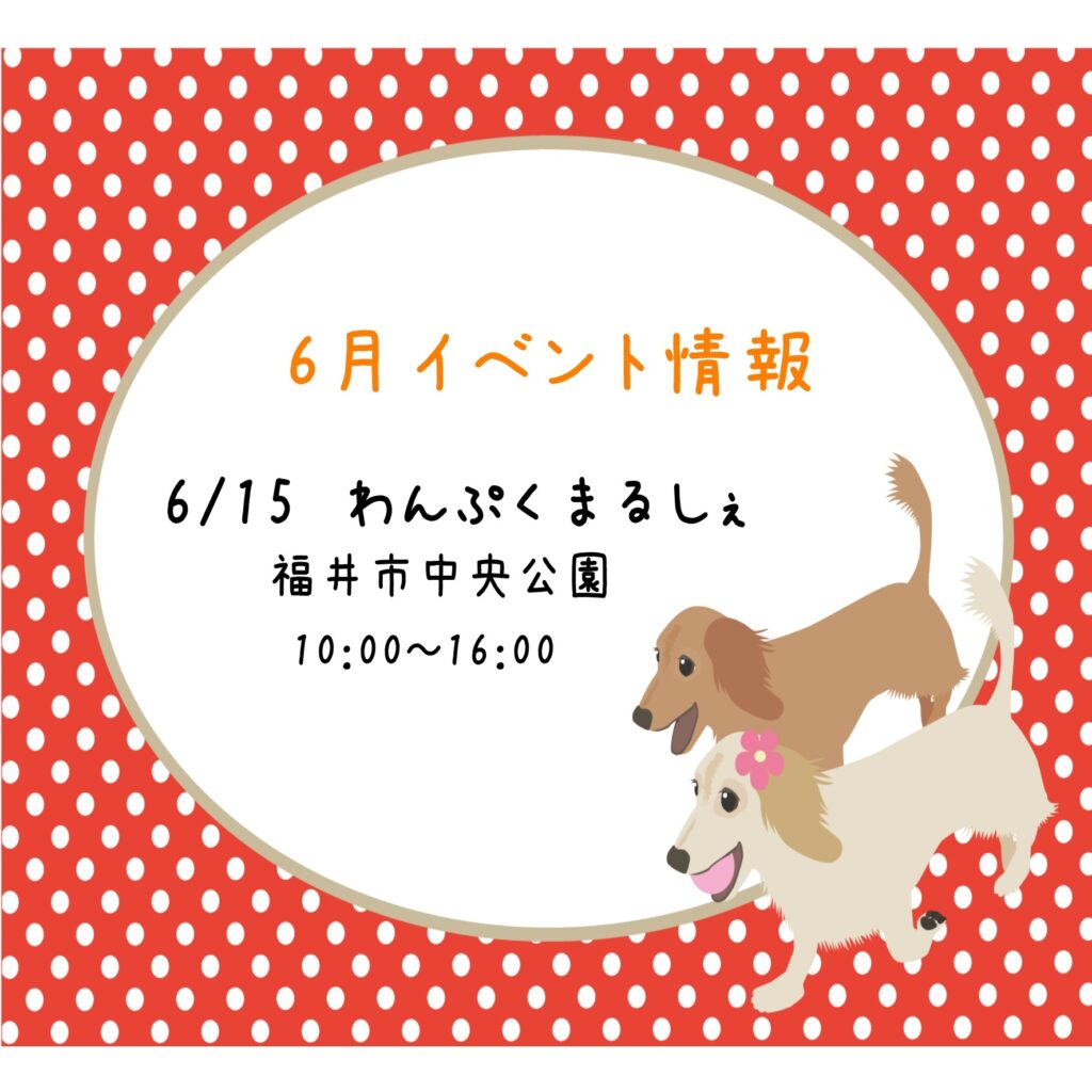 🎪【ノアの杜ふくい】6月 イベント出店情報🎪