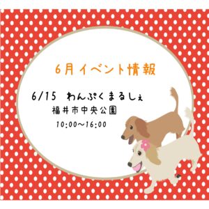 🎪【ノアの杜ふくい】6月 イベント出店情報🎪