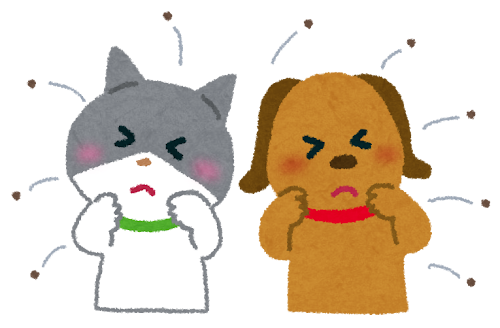 この時期によく聞く「マダニ」について🐾